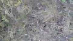 Amateur POV Outdoor Fuck