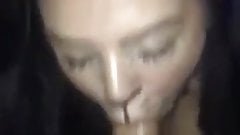 Just a pussycat sucking dick